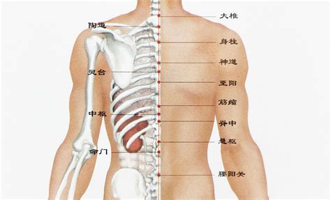 後腦有痣